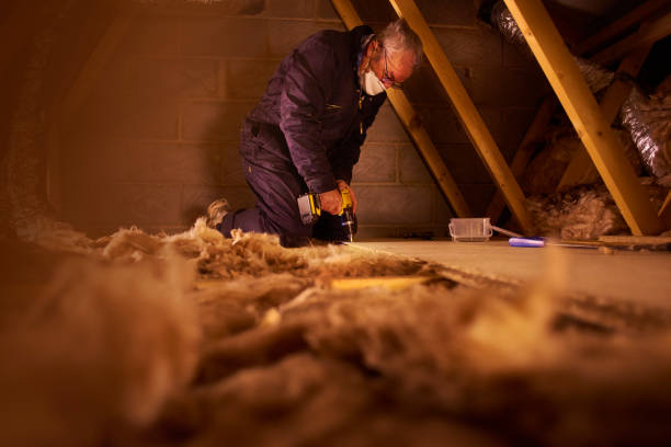 Best Insulation Inspection Services  in Cardington, OH